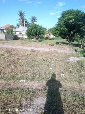 Kiwanja Mita 13 Kwa Mita 10 Kinauzwa Milion 3.5 Majohe Rada.