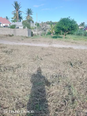 Kiwanja Sqmita 150 Kinauzwa Milioni 3.3 Ukonga Majohe Rada.