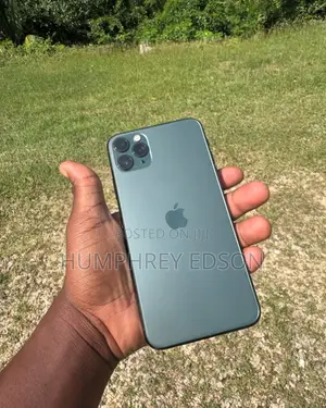 Apple iPhone 11 Pro Max 256 GB Black