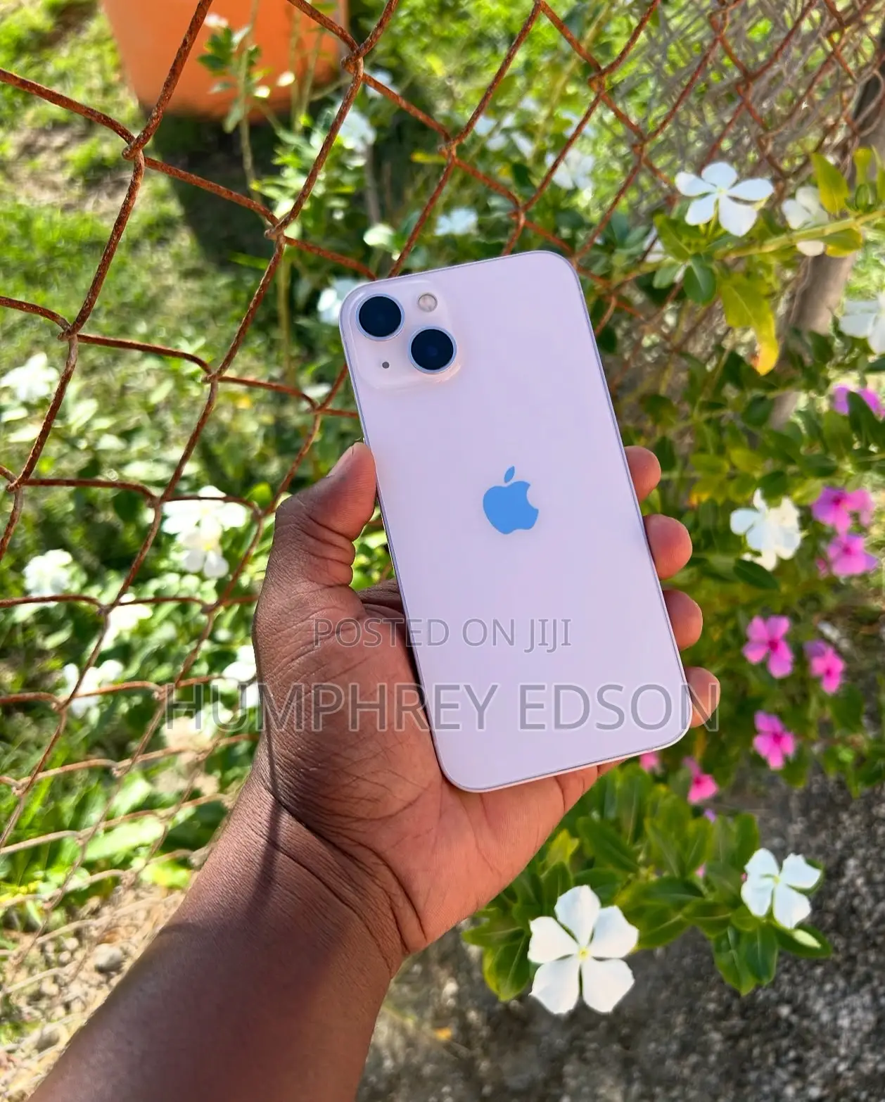 Apple iPhone 13 128 GB Pink