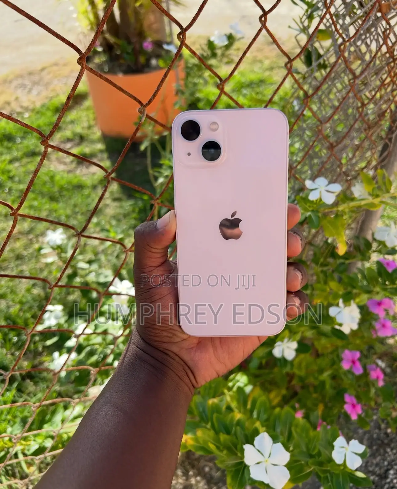 Apple iPhone 13 128 GB Pink