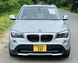 Photo - BMW X1 2010 Silver