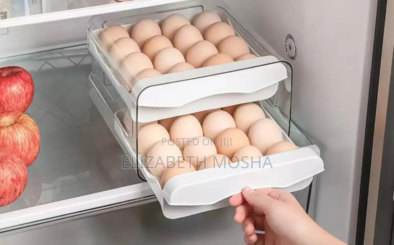 Eggs Oginizer