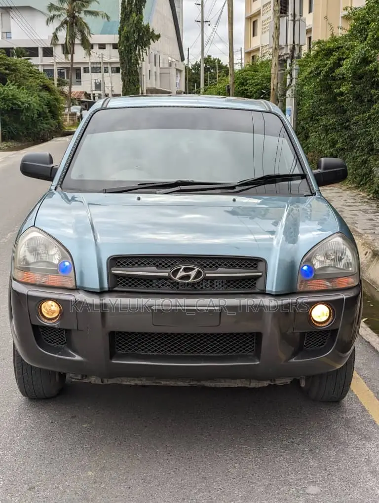 Hyundai Tucson 2008 Blue