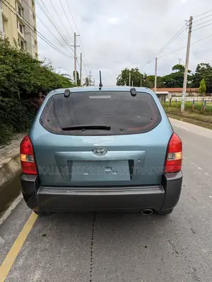Hyundai Tucson 2008 Blue