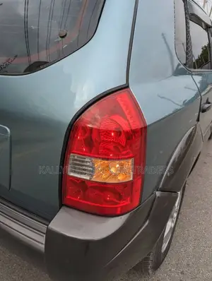 Hyundai Tucson 2008 Blue