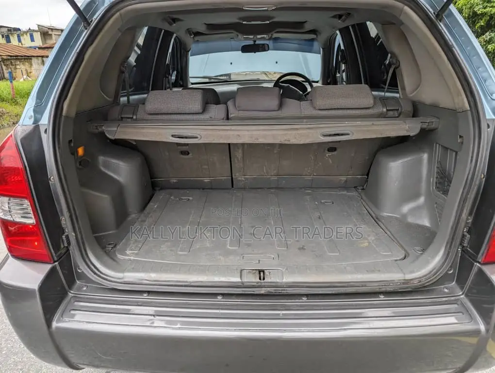 Hyundai Tucson 2008 Blue