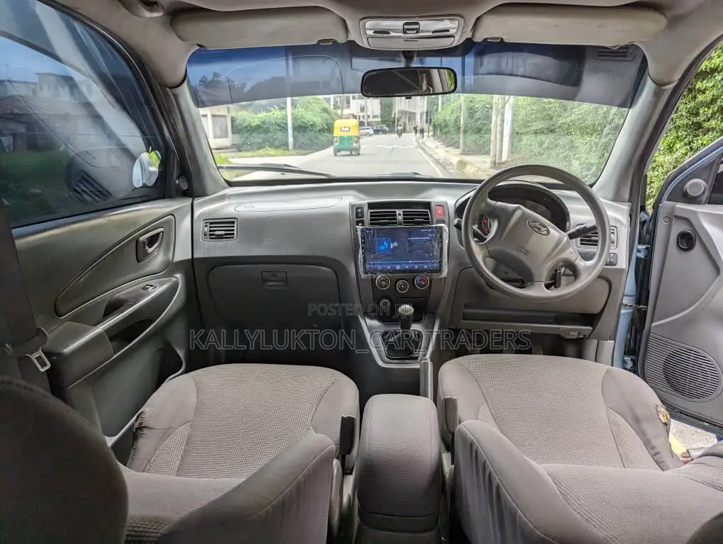 Hyundai Tucson 2008 Blue