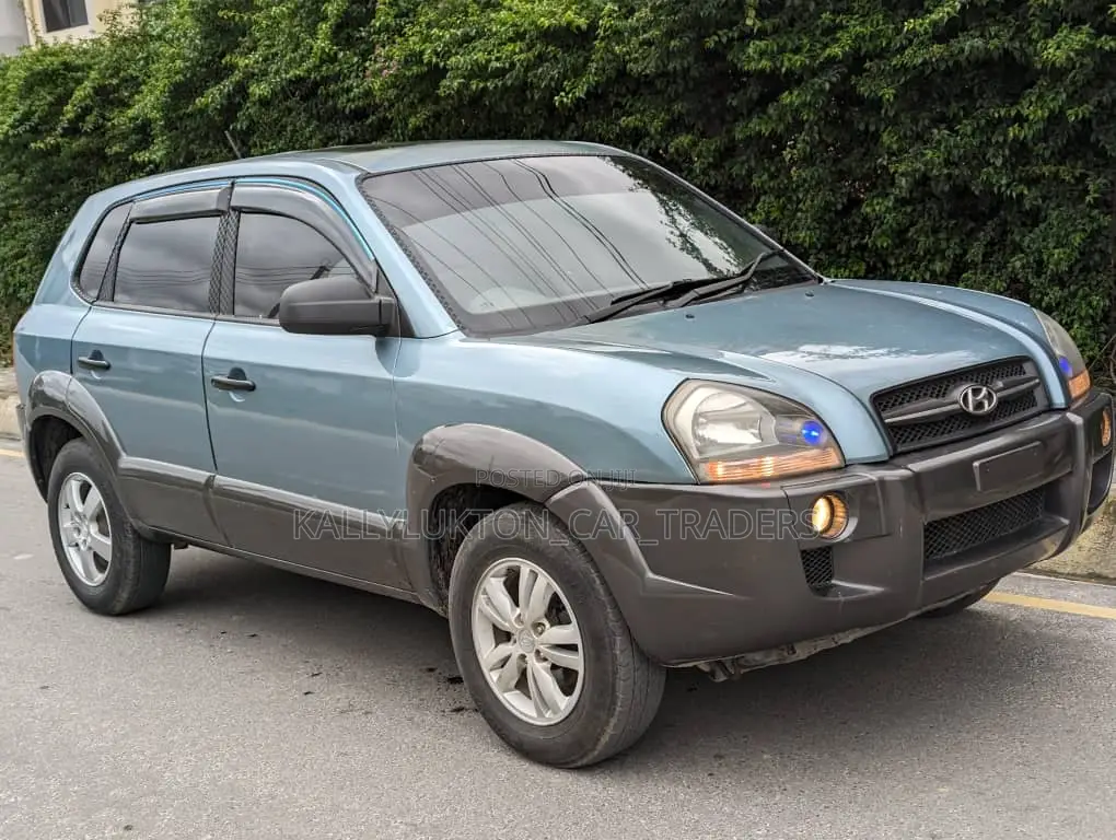 Hyundai Tucson 2008 Blue