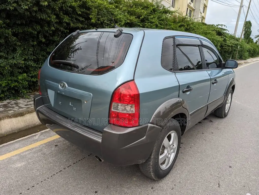 Hyundai Tucson 2008 Blue