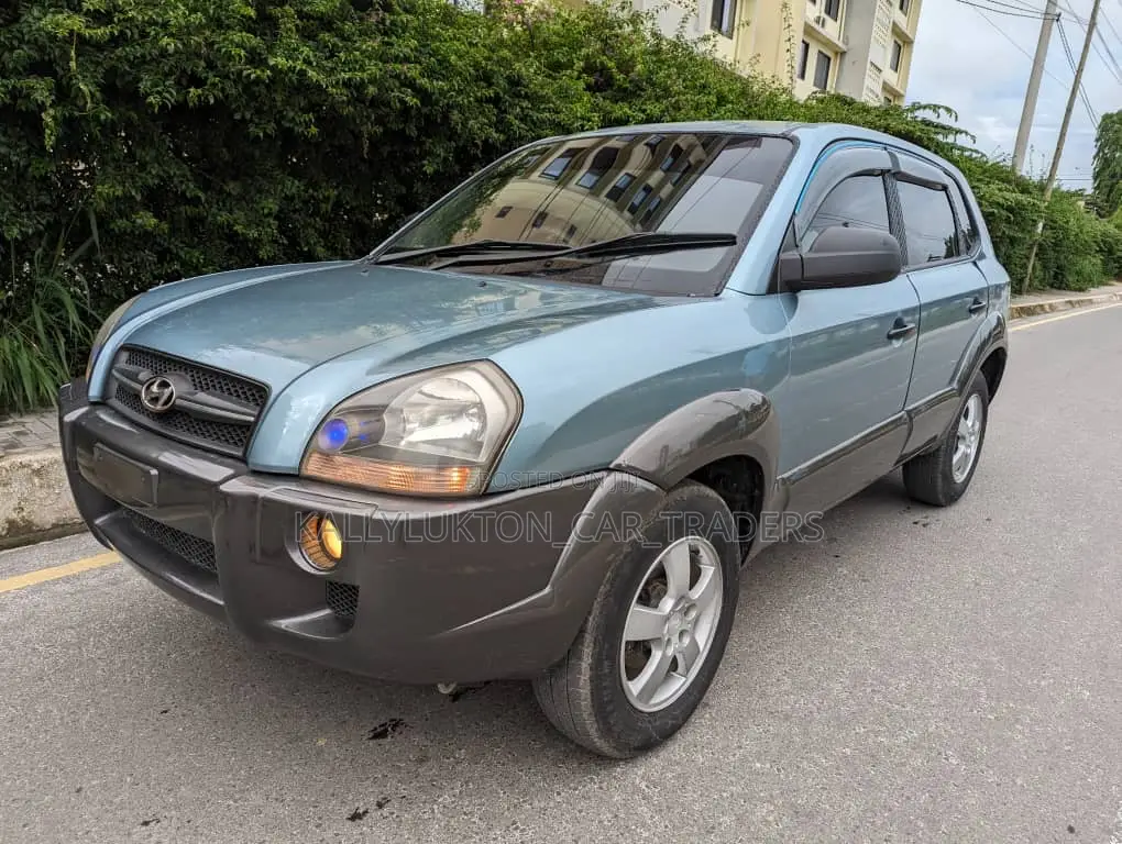 Hyundai Tucson 2008 Blue