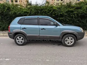 Hyundai Tucson 2008 Blue