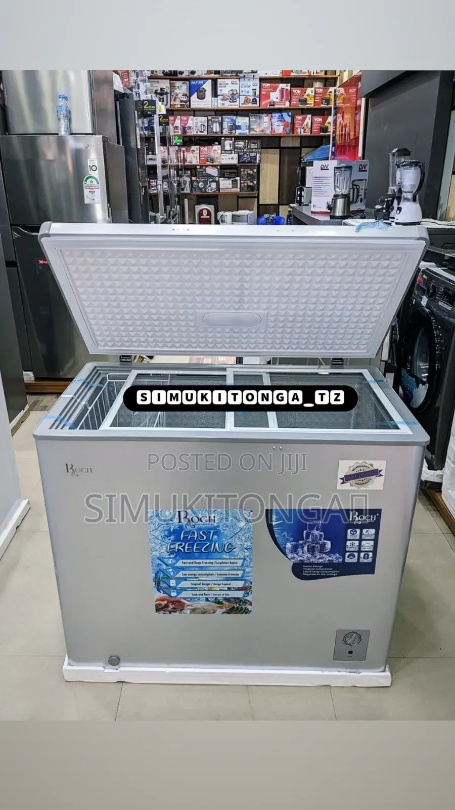 *Roch Freezer 200l