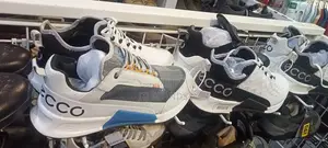 Sardi New Sneakers