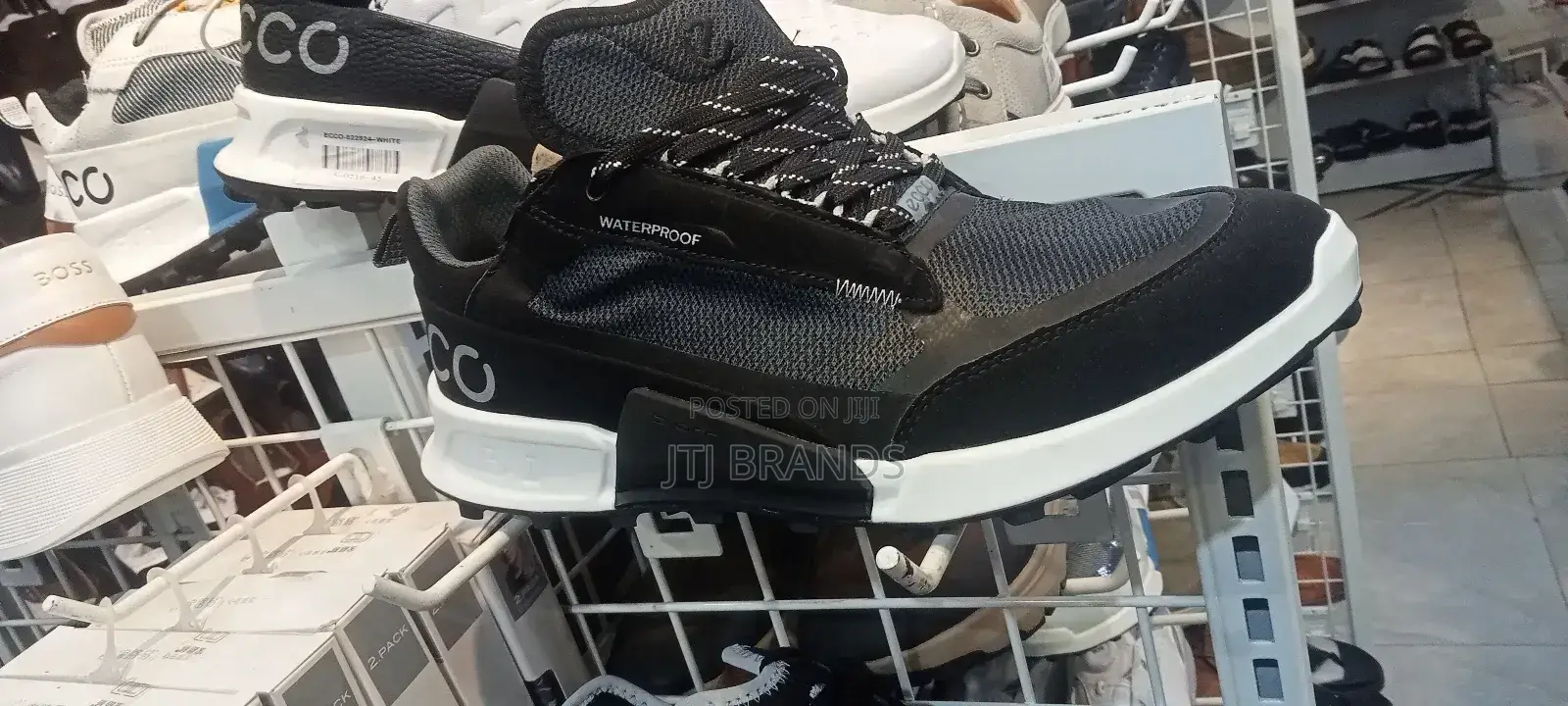 Sardi New Sneakers