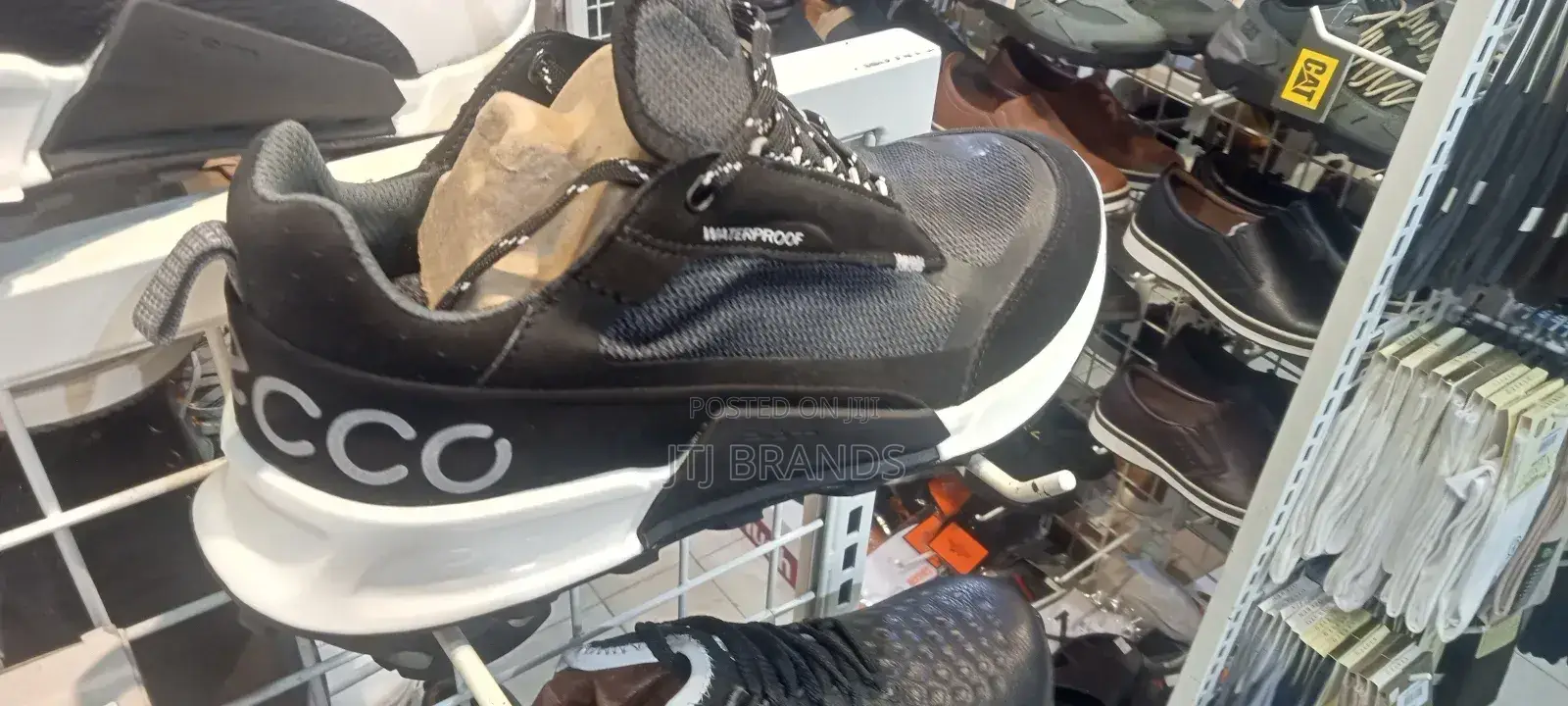 Laodikia New Ecco
