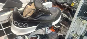 Laodikia New Ecco