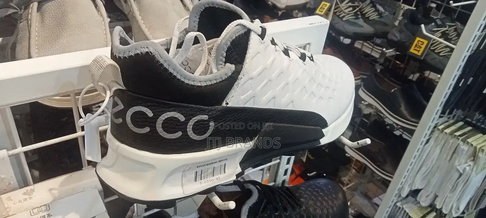 Hossana New Shoes