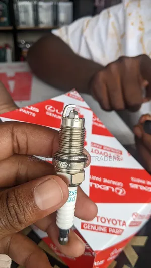 Spack Plug