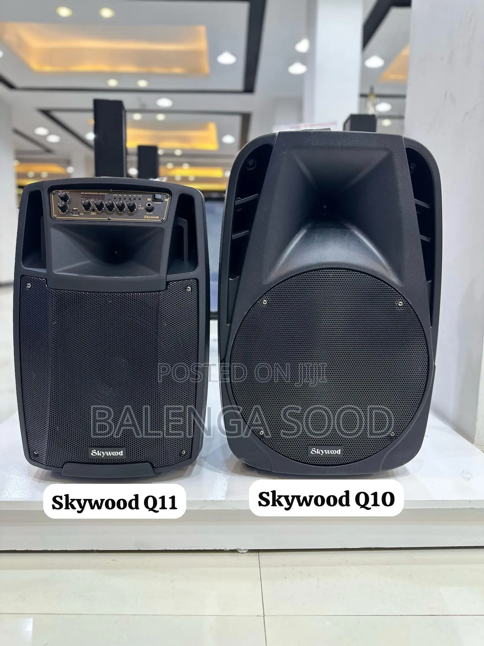 Skywood Speaker Mziki Mkubwa