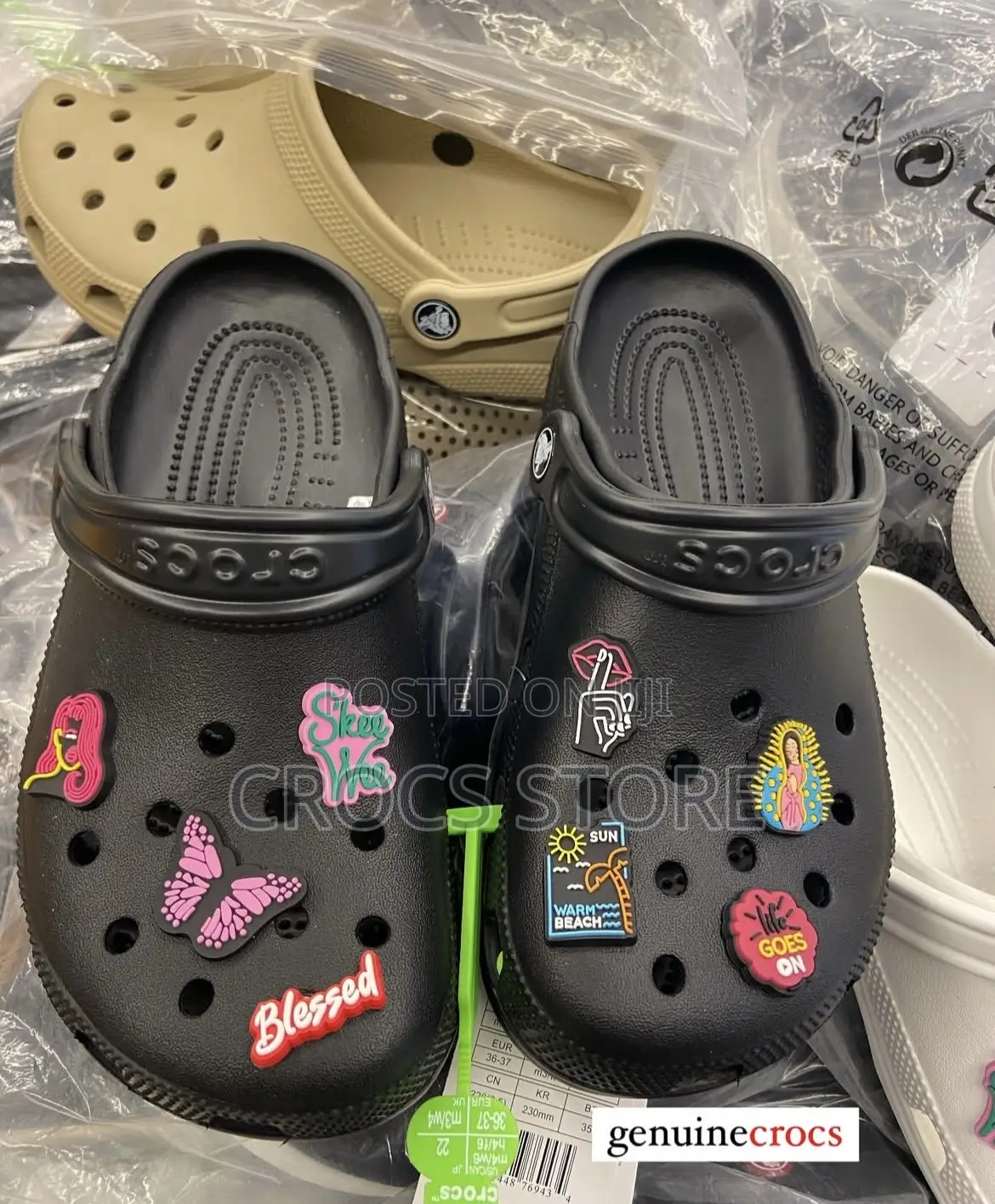 Crocz Classic
