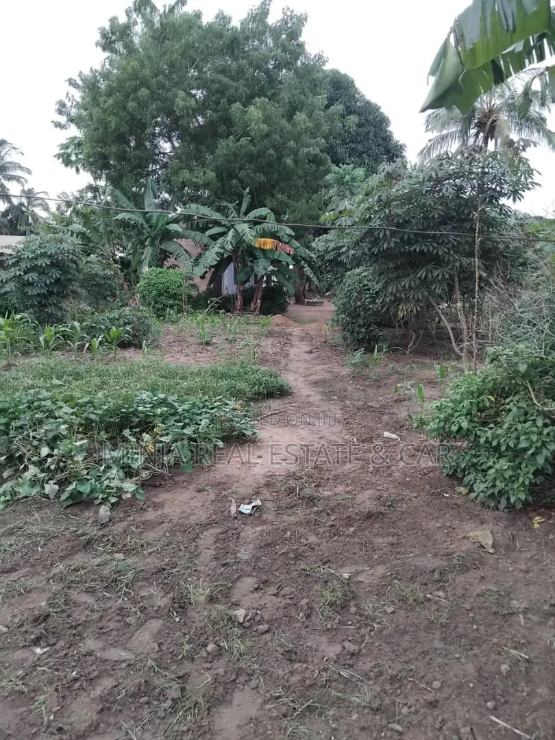 Plot for Sale Kibaha Kongowe