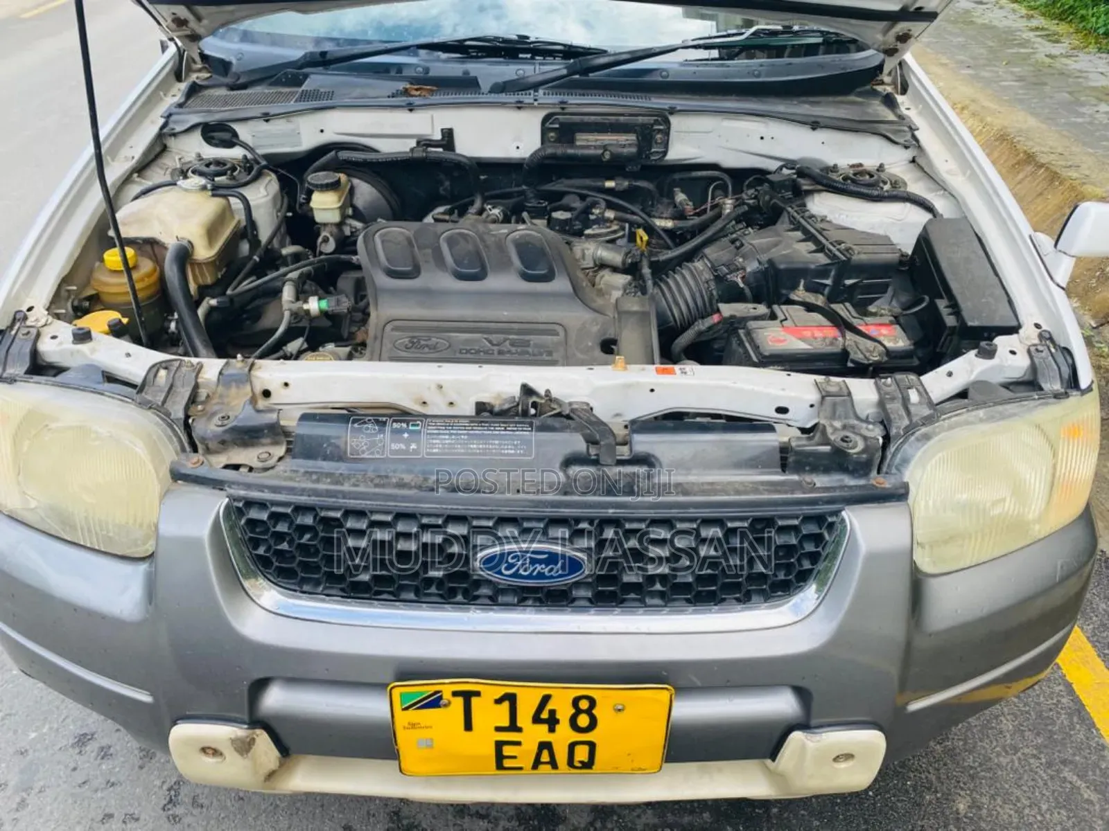 Ford Escape 2005 White