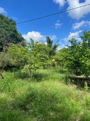 Photo - Plot for Sale CQMT 1000 Bei 130,000,000