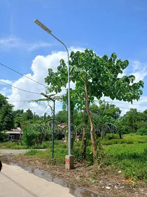 Solar Street Light 300w High Lumen Output