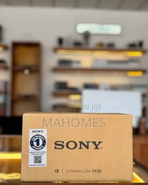 Sony Cinema Line Fx30 Body