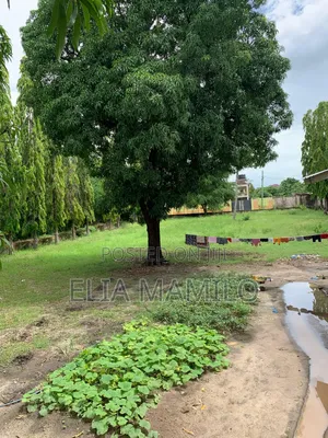Werehouse for Rent in Dar , Nyerere Road Vingunguti