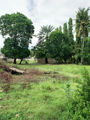 Werehouse for Rent in Dar , Nyerere Road Vingunguti