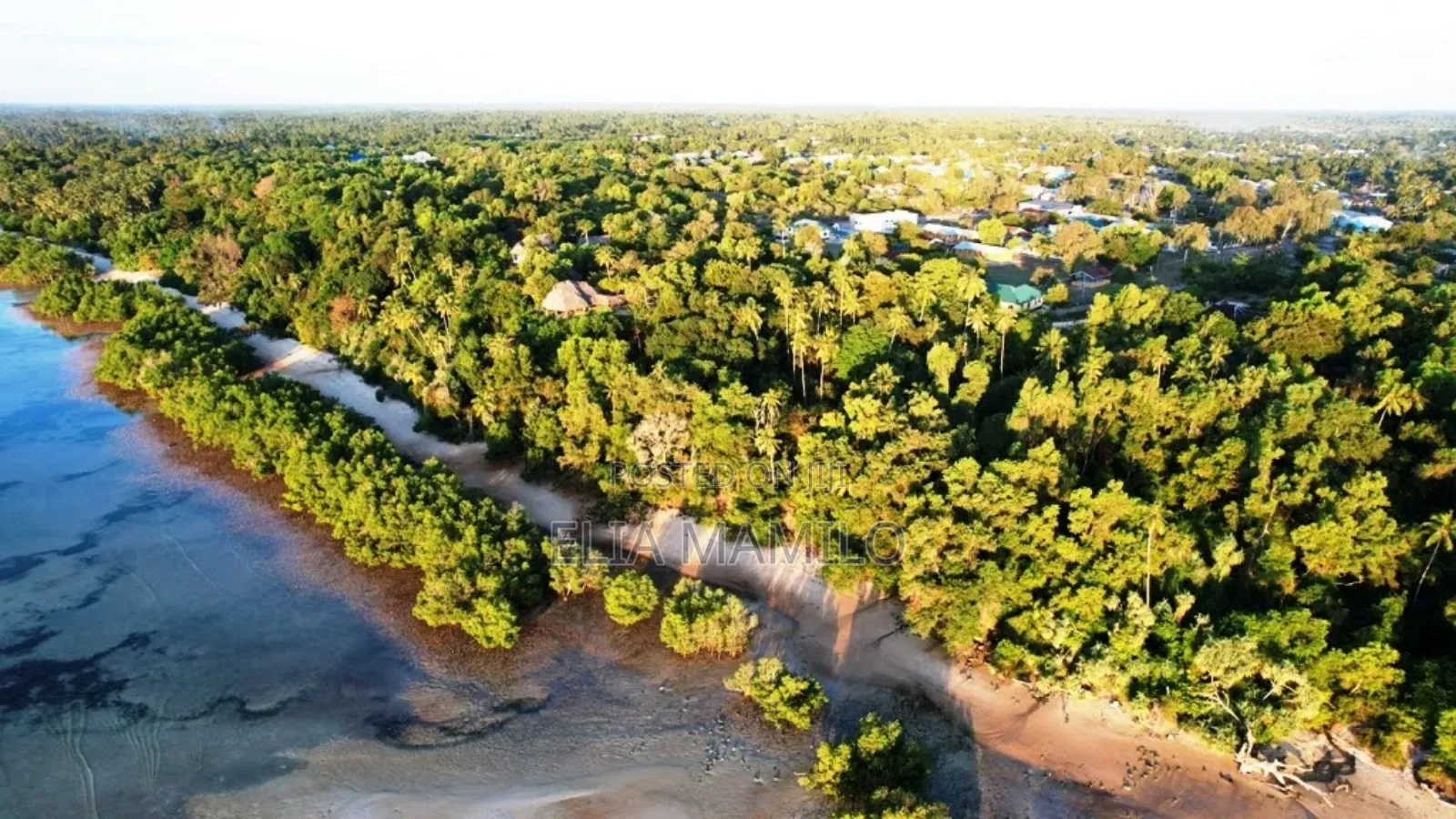 6 Acres Beach Plot for Sale in Mafia Island