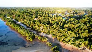 6 Acres Beach Plot for Sale in Mafia Island