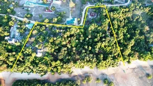 6 Acres Beach Plot for Sale in Mafia Island