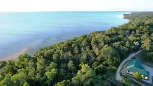 6 Acres Beach Plot for Sale in Mafia Island