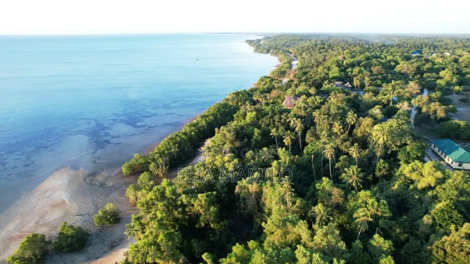6 Acres Beach Plot for Sale in Mafia Island