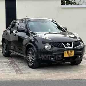 Nissan Juke 2011 Gray