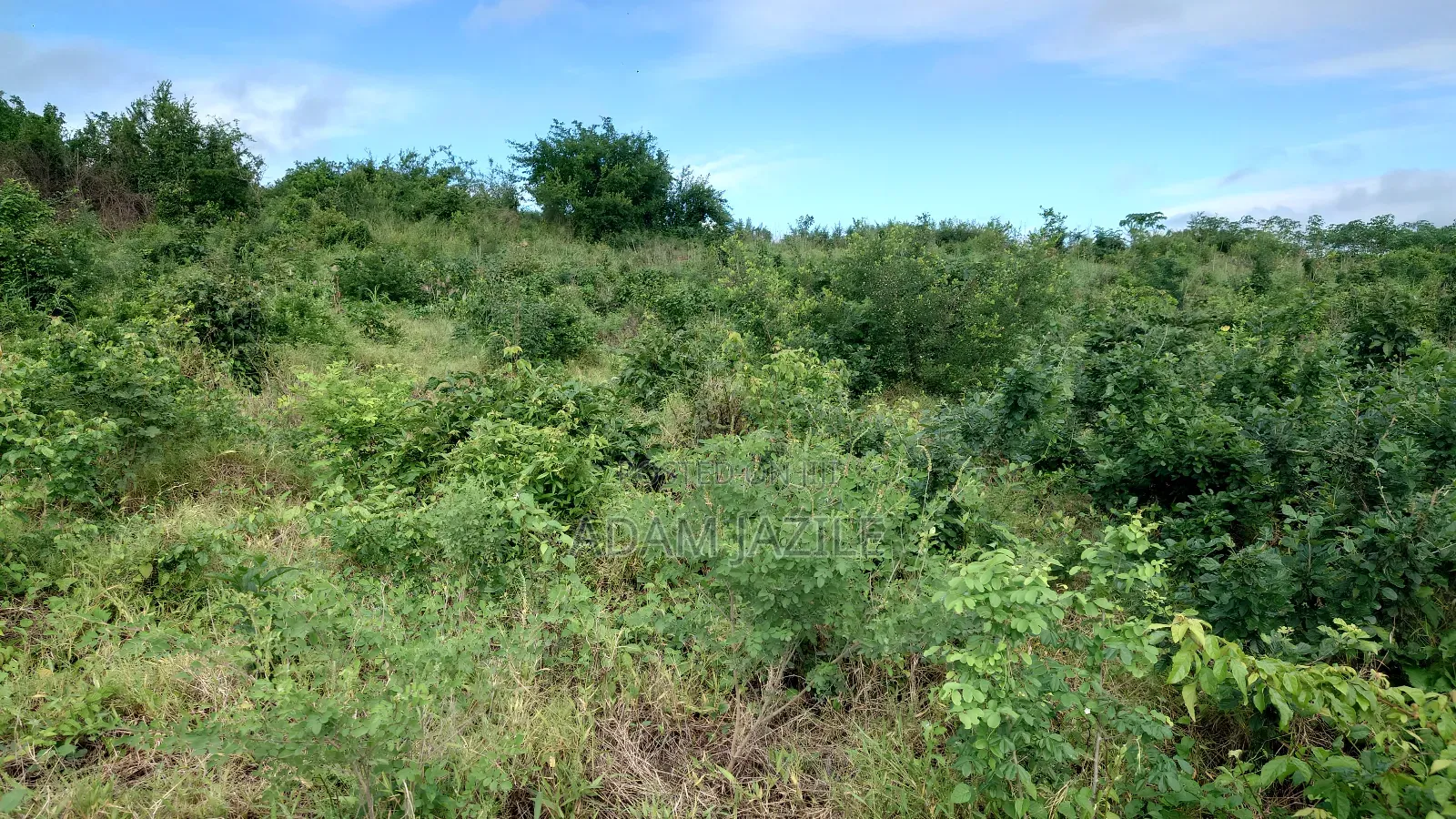 Shamba La Ekari 7 Linauzwa Fukayosi Bagamoyo