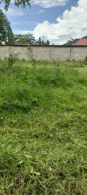 Open Space/Yard for Rent Mikochen A
