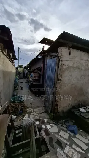 Plot 4 Investment at Sinza and Old House