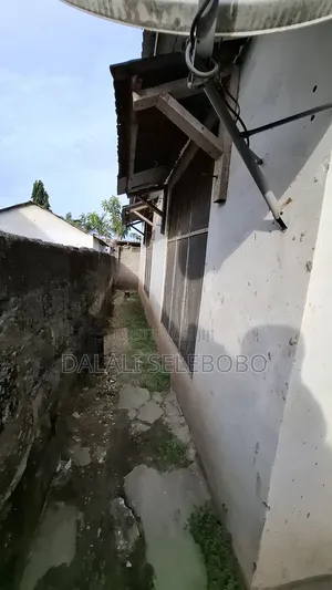 Plot 4 Investment at Sinza and Old House