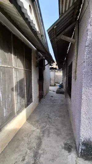 Plot 4 Investment at Sinza and Old House