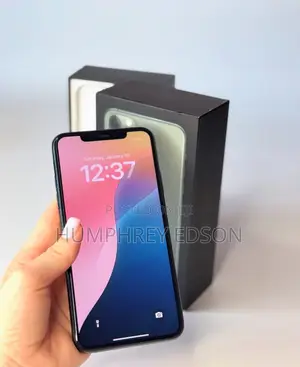 New Apple iPhone 11 Pro Max 256 GB Gray