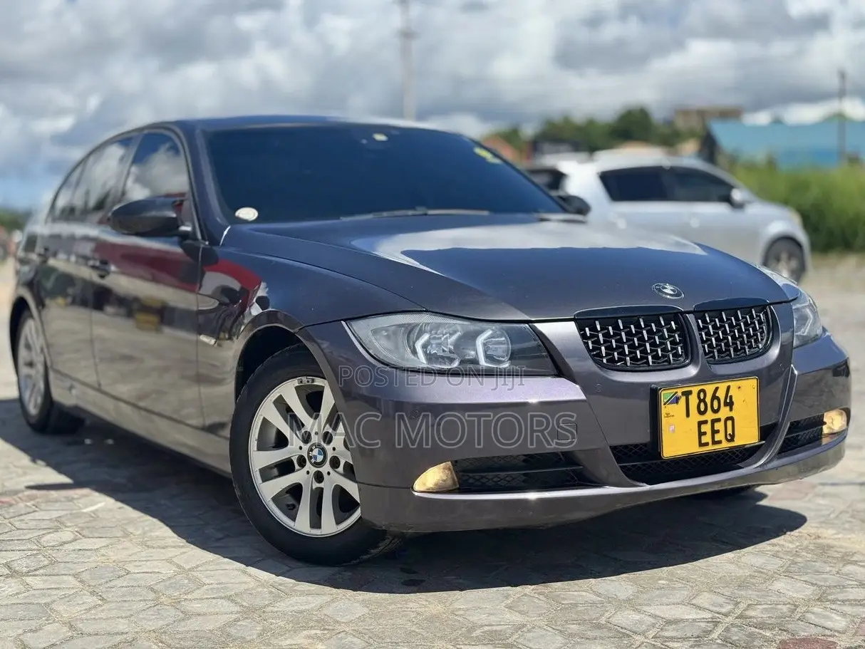 BMW 3 Series 2006 Gray