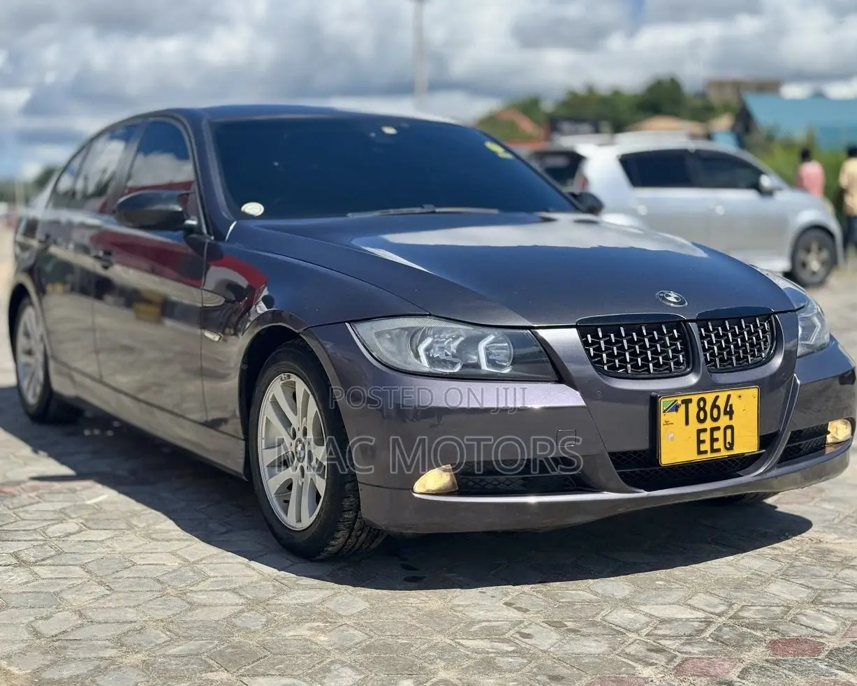 BMW 3 Series 2006 Gray