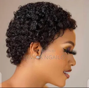 Human Hair Wigs