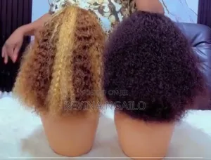 Human Hair Wigs