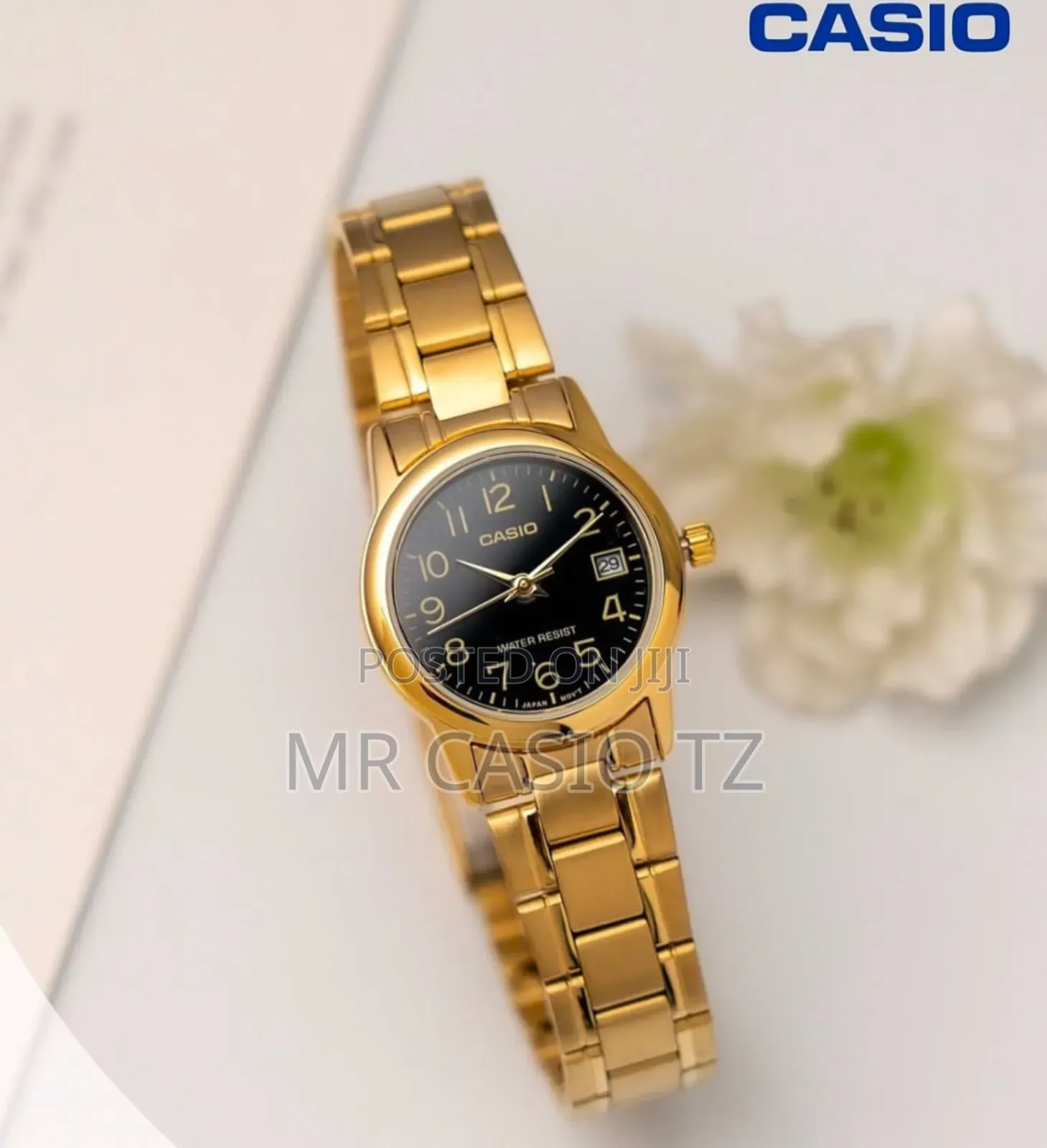Casio LTP-V002g-1budf