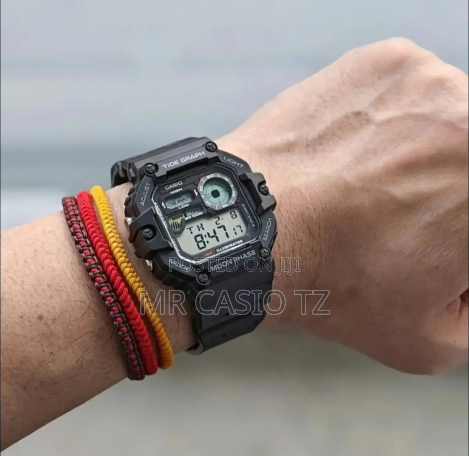 Casio Ws-1700h-8avdf